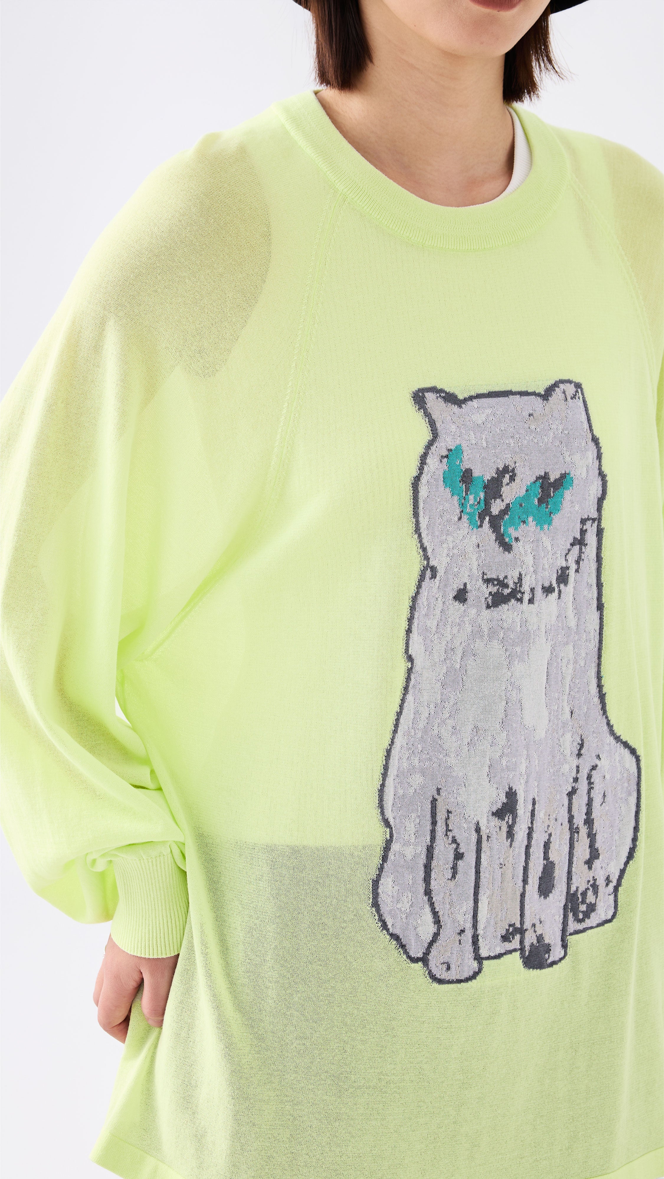 Mythical Animal Graphic Sweater - Umamrii